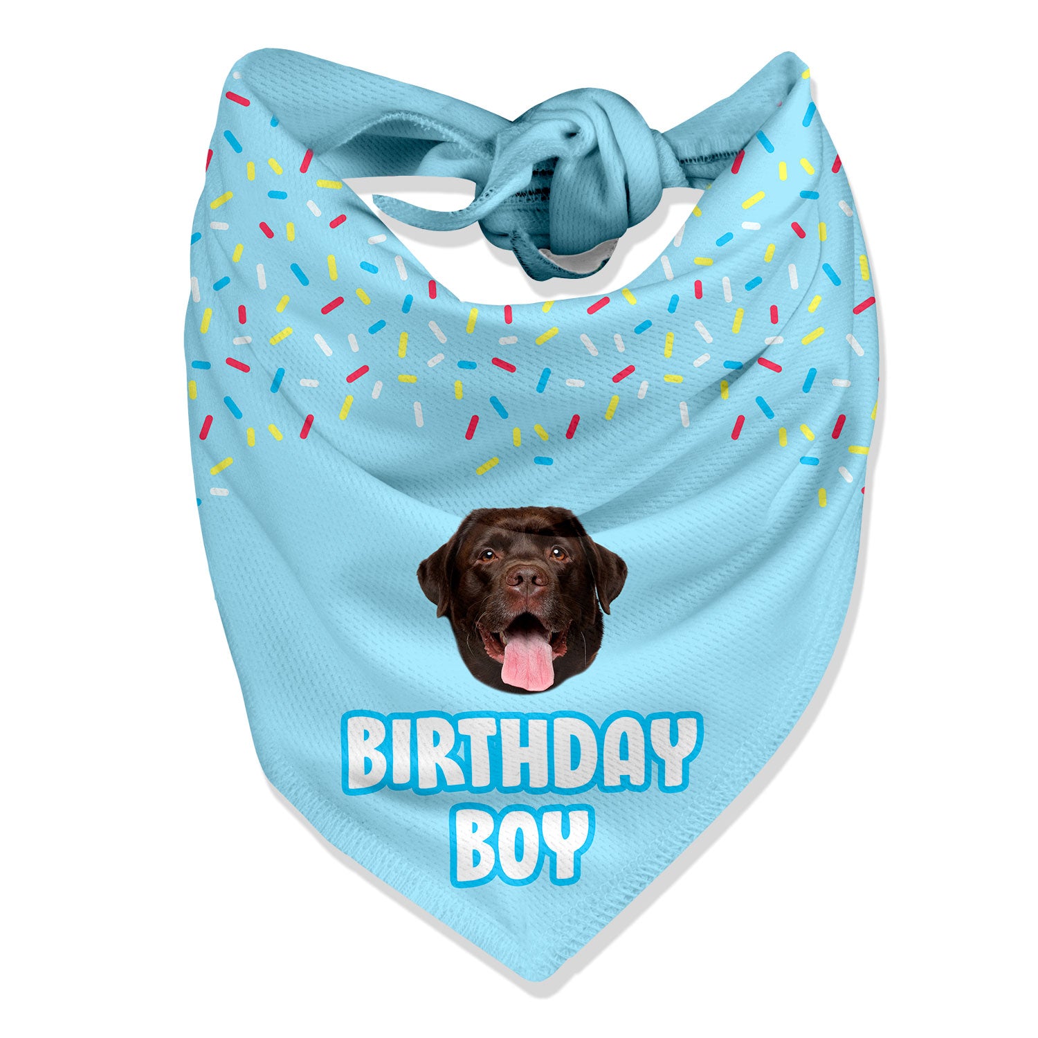 Birthday Boy Dog Bandana - Dog Birthday Presents