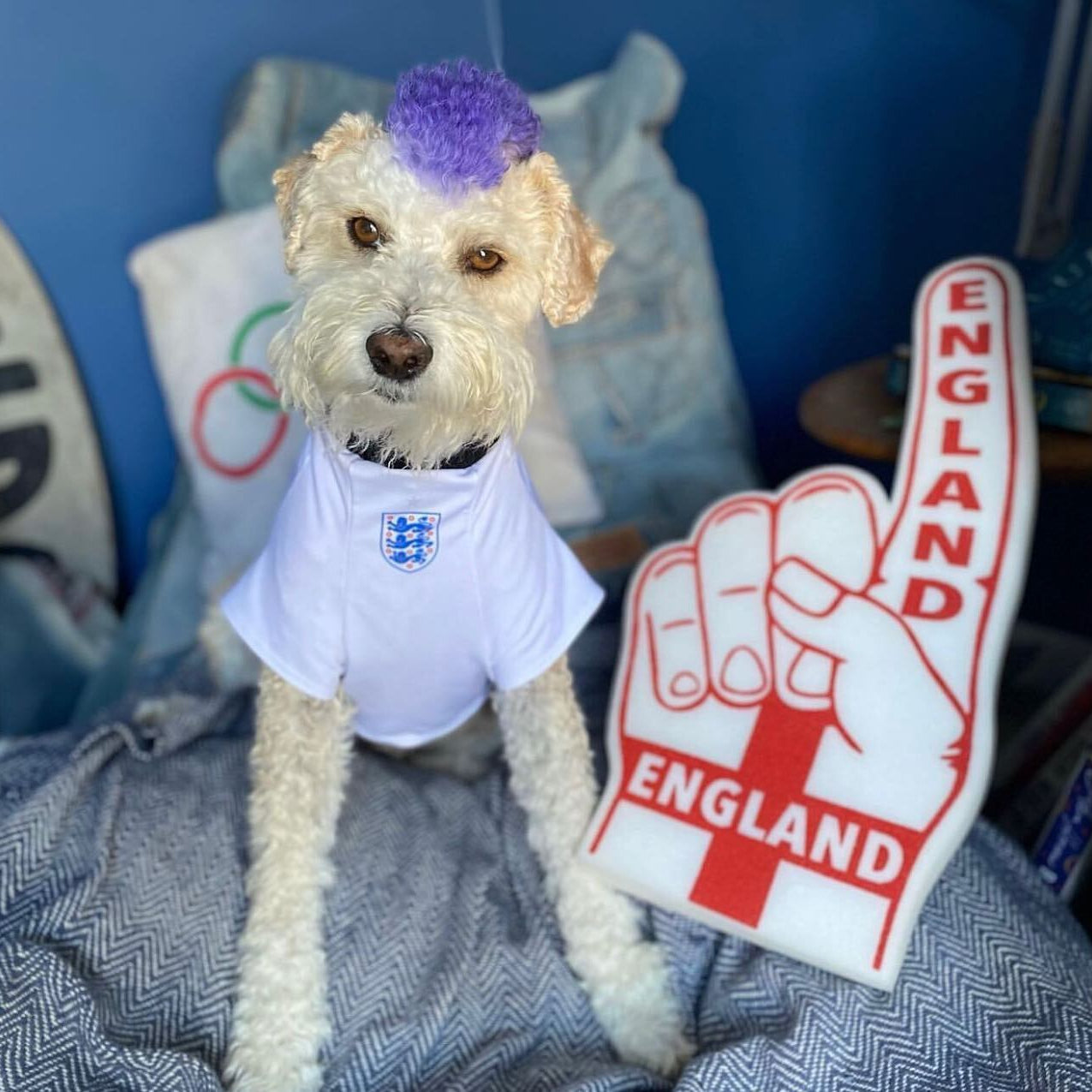 England Dog Shirt