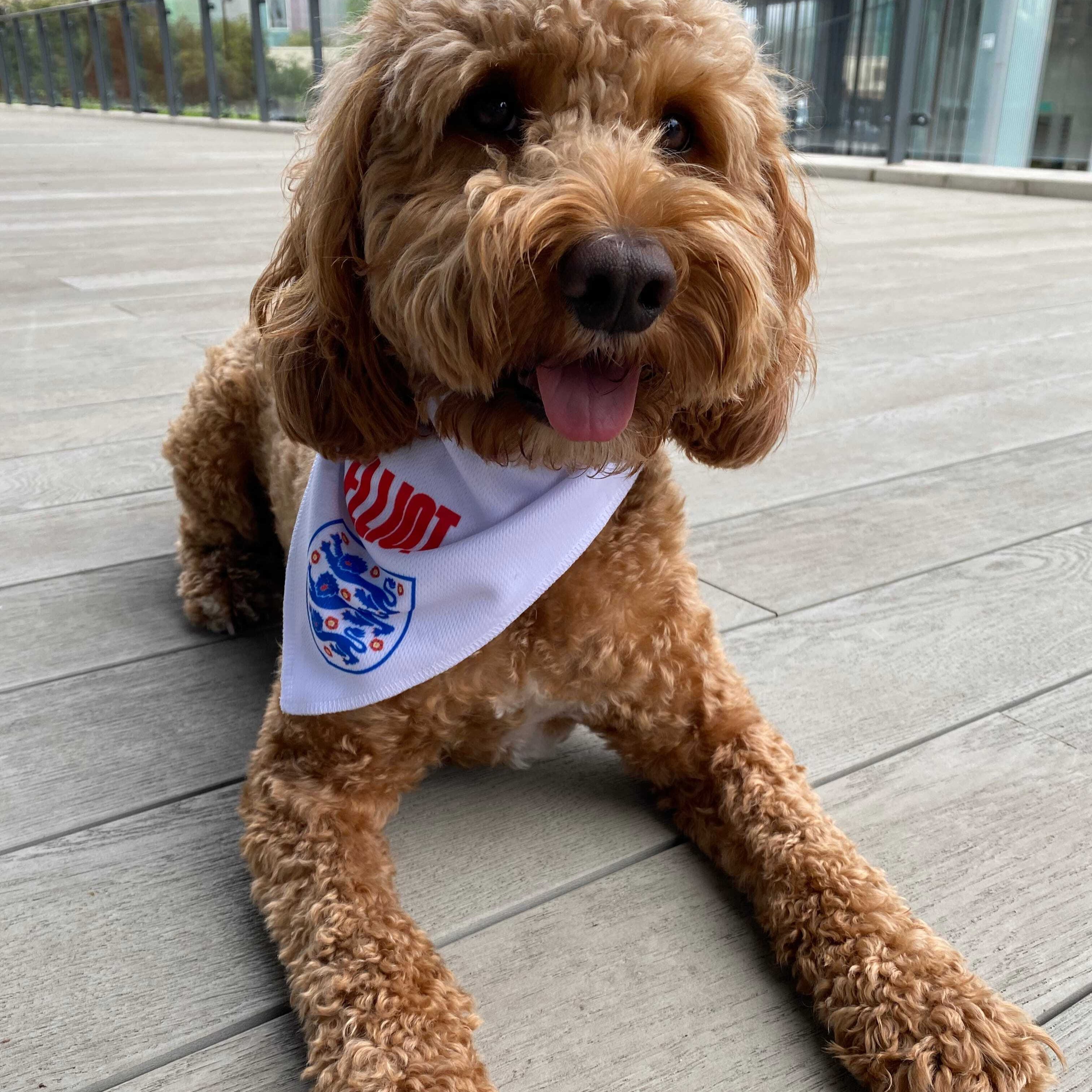 Personalised England Dog Bandana