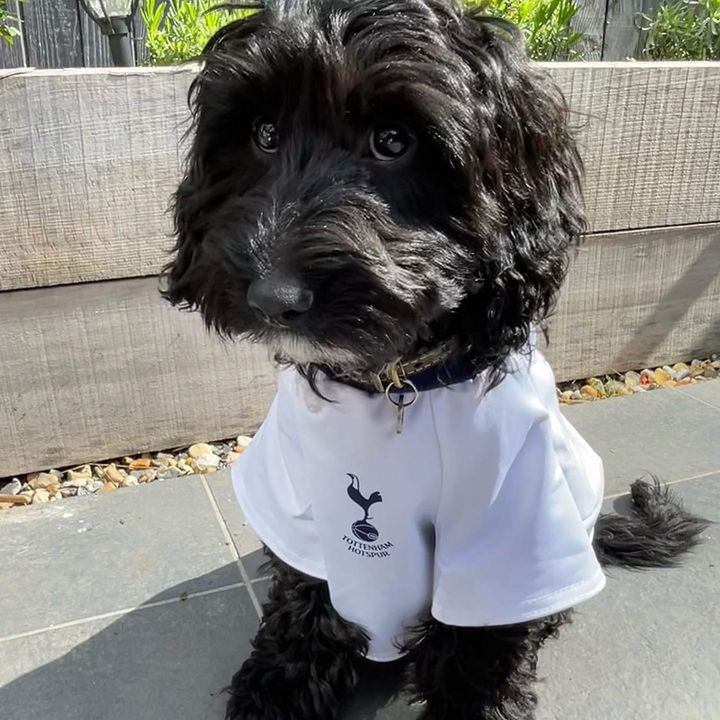 Personalised Spurs Dog Shirt Tottenham Hotspur Dog Shirt