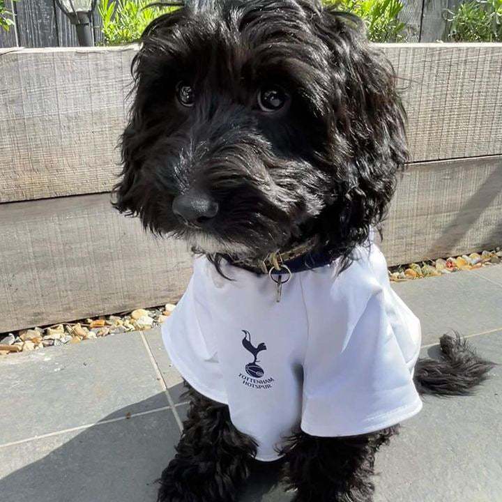 Tottenham Hotspur Dog Hoodie – Doggy Drip Shop