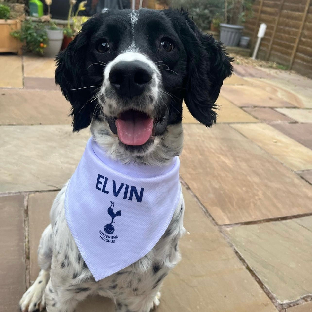 White deals dog bandana