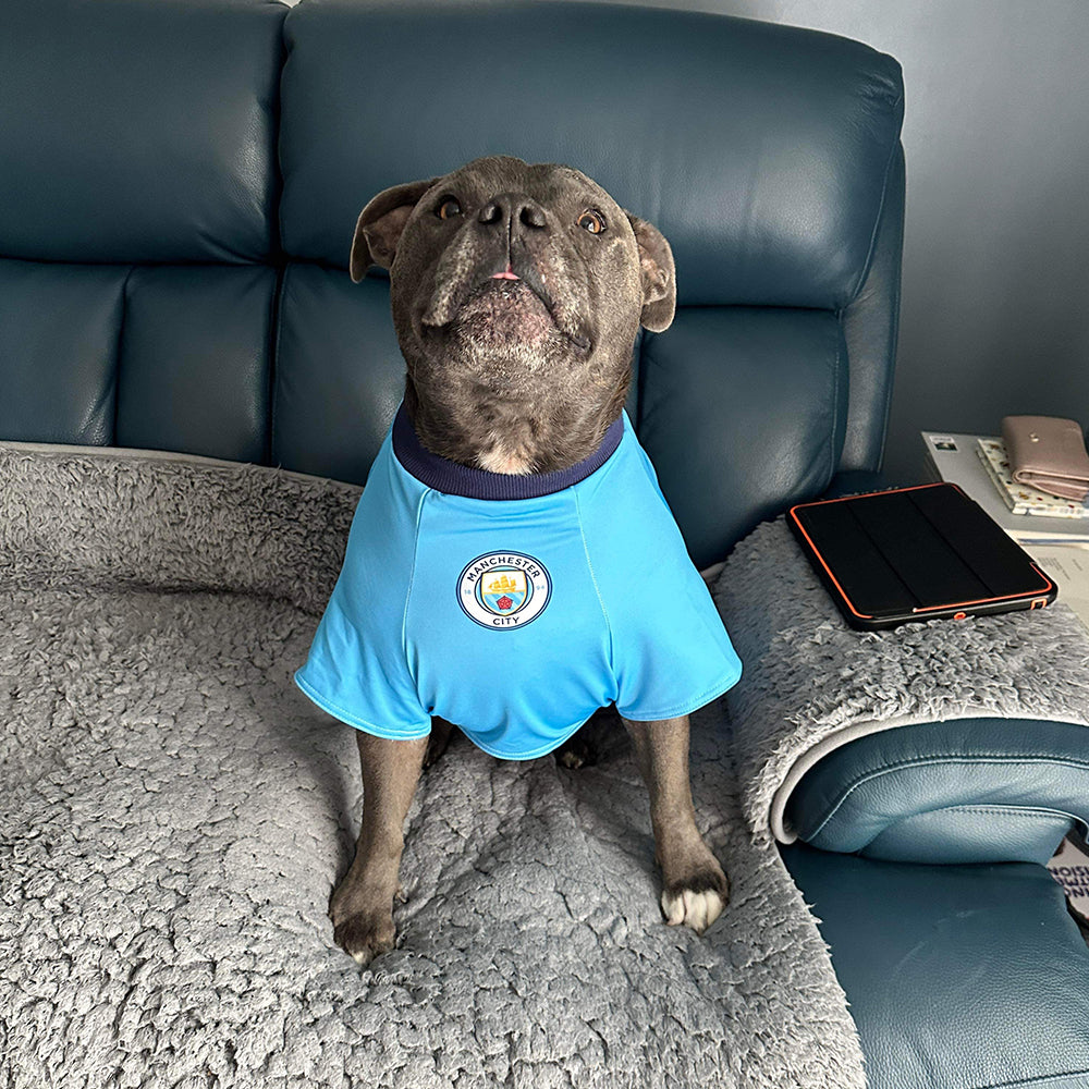 Man City Dog Shirt  Dog Football Shirt