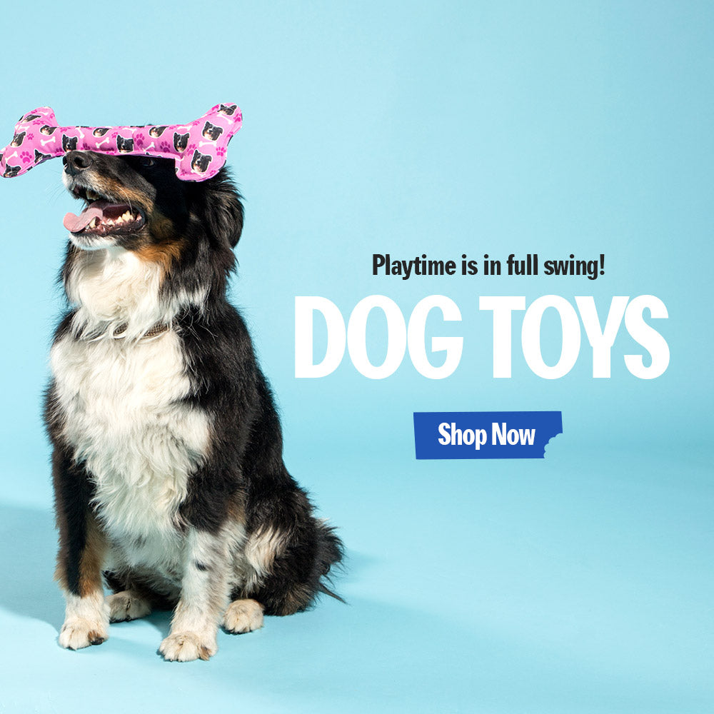 Dog gifts sales