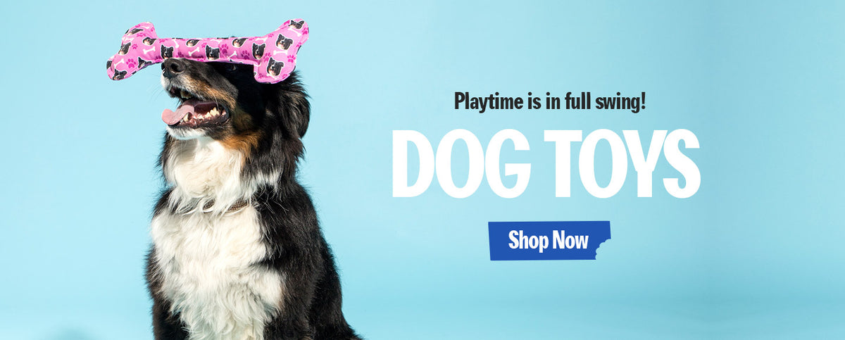 Unique Dog Gifts - Gifts for Dog Lovers | Dogsy