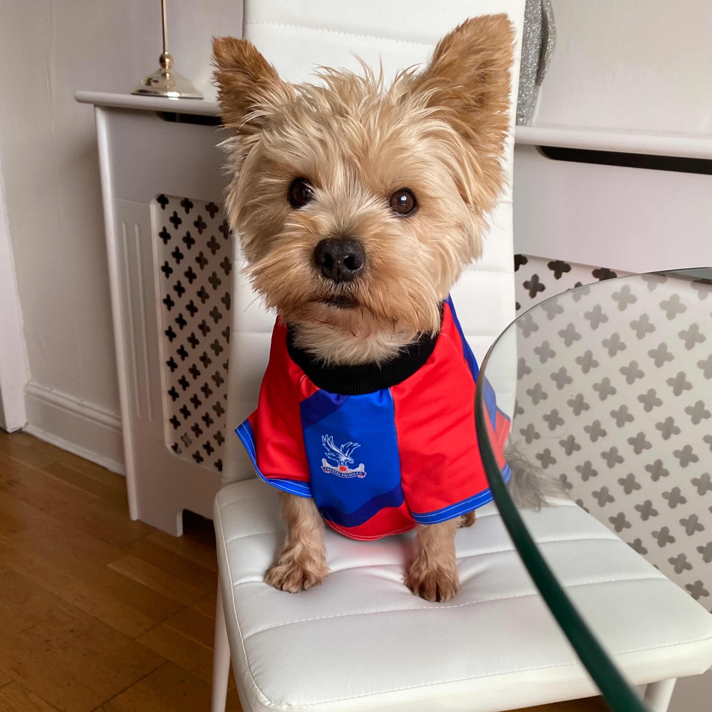 Crystal Palace Personalised Dog Shirt