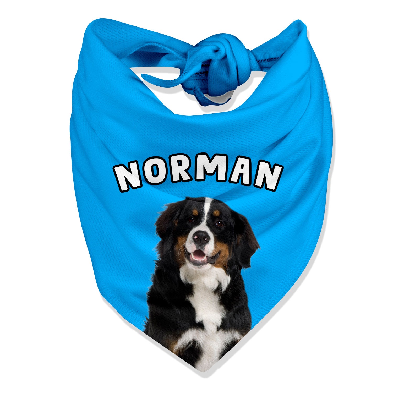 Bernese mountain dog sales bandana