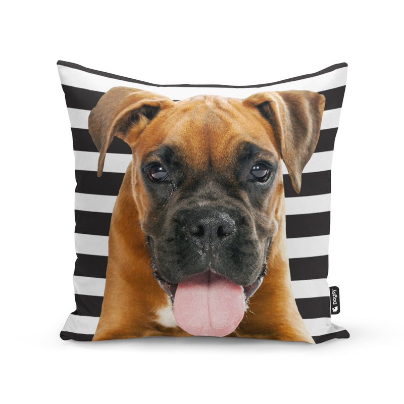 Personalised Dog Cushions - Dogsy Cushions | Dogsy