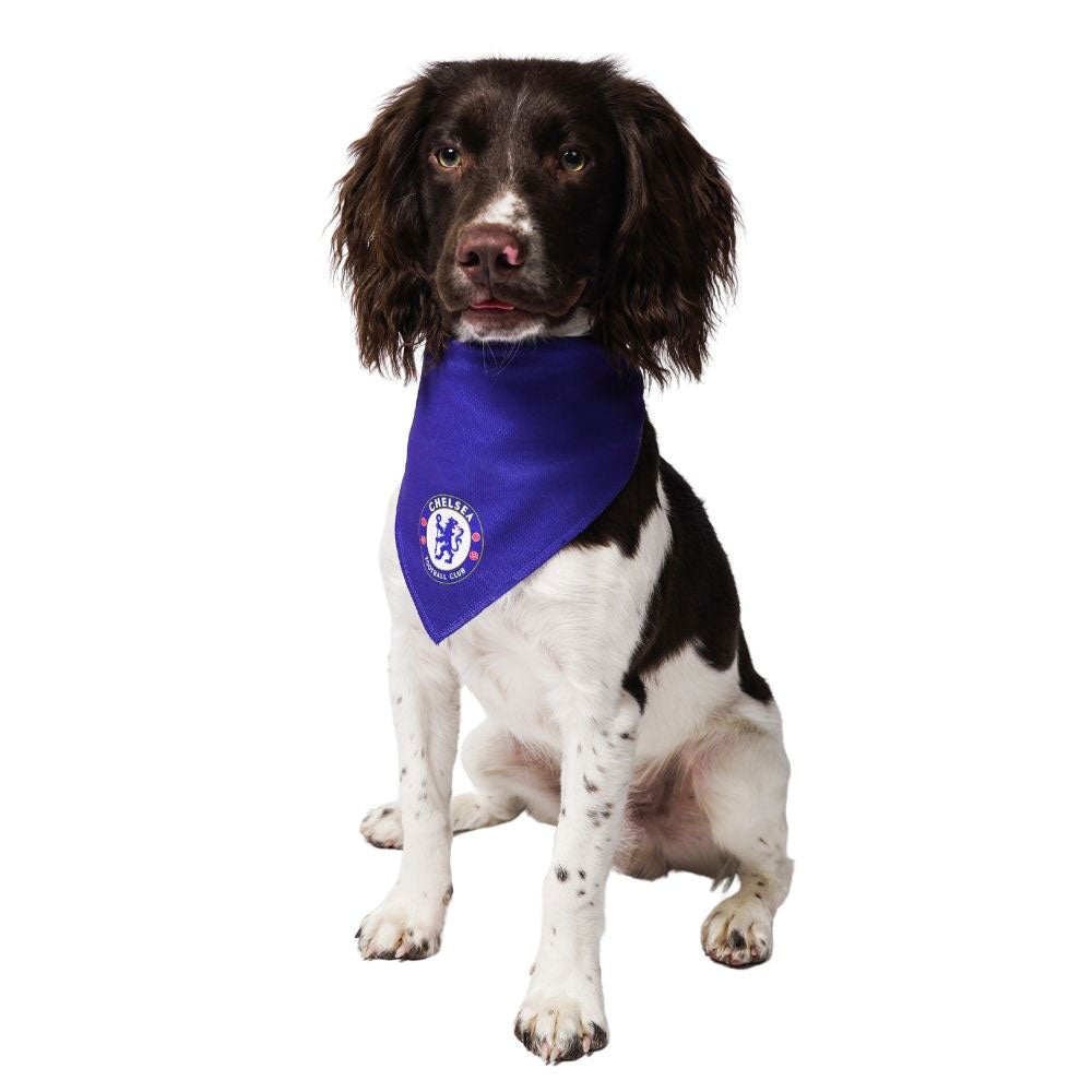 Chelsea fc sales dog bandana