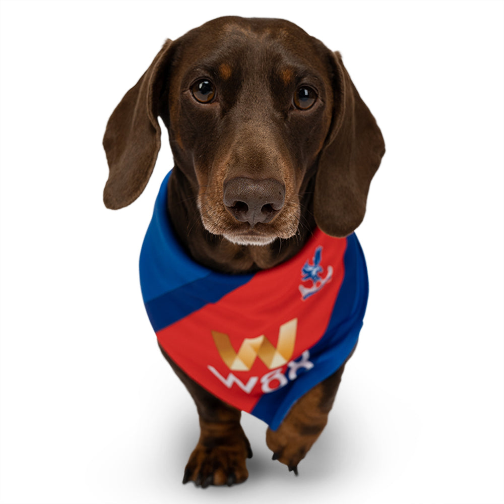 Aston villa hotsell dog bandana