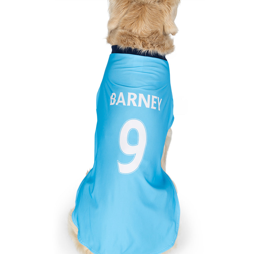 Man city hot sale dog jersey