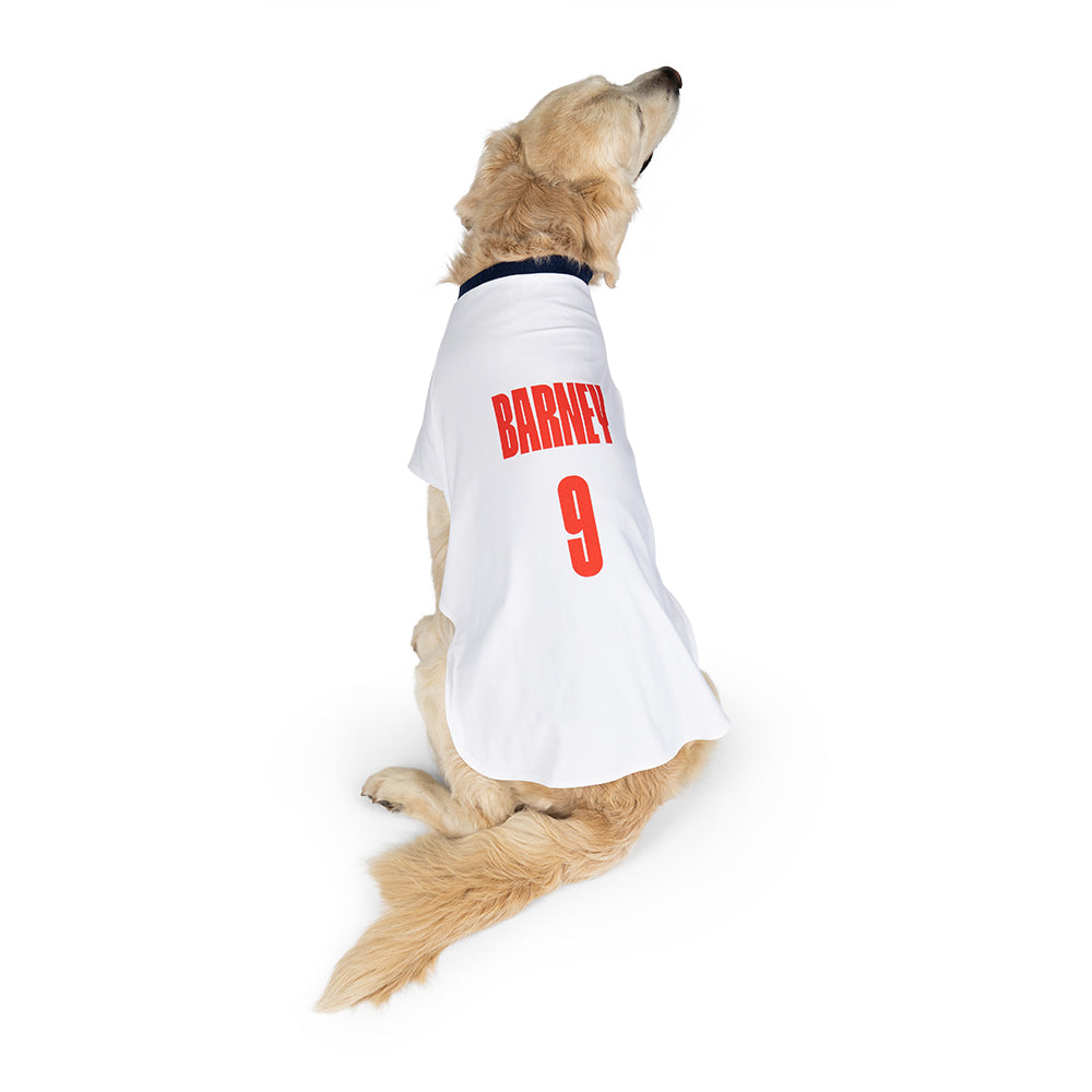 Dog Football Shirts - Football Shirts for Dogs