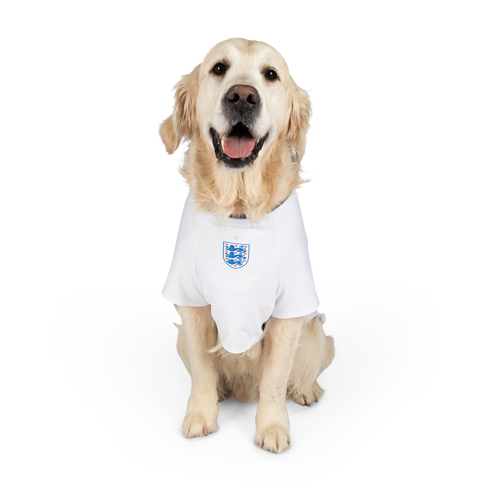 repræsentant silhuet Være Dog Football Shirts - Football Shirts for Dogs