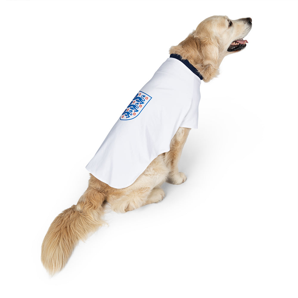 lancering Stå op i stedet Hurtig Official England Dog Shirt - England Football Dog Shirt