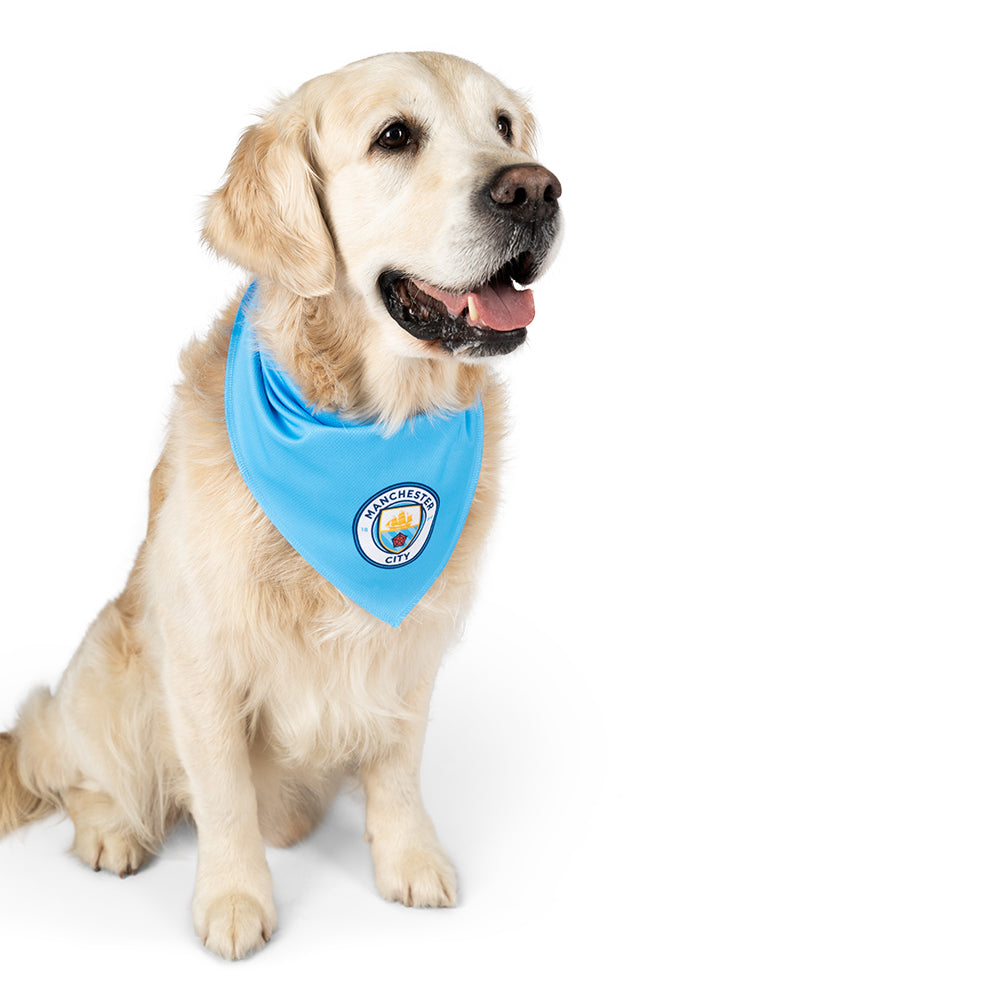 Female shop dog bandanas