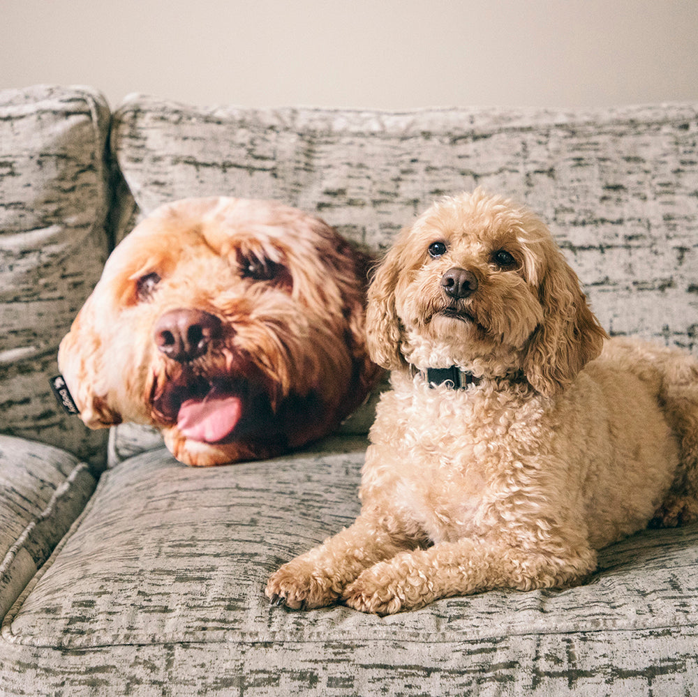 Pillow with best sale my dogs face