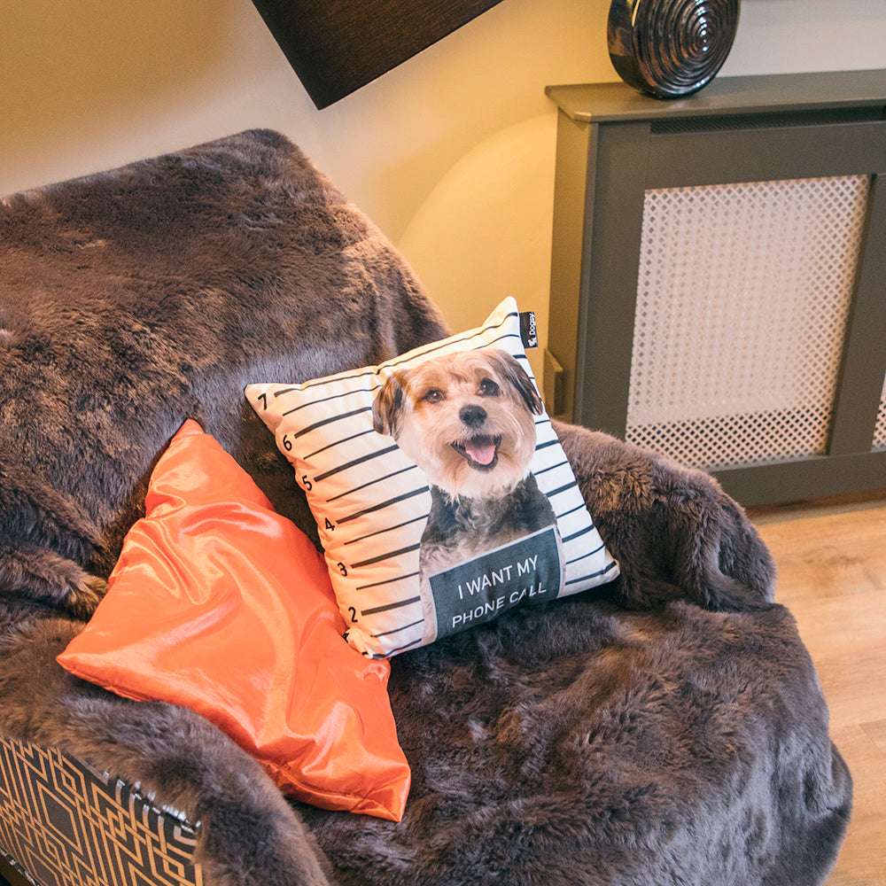 Dog face cheap cushion