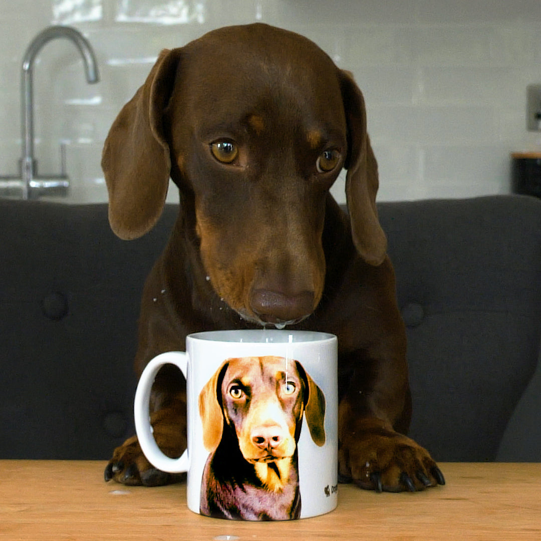 Mug with dogs store face on it