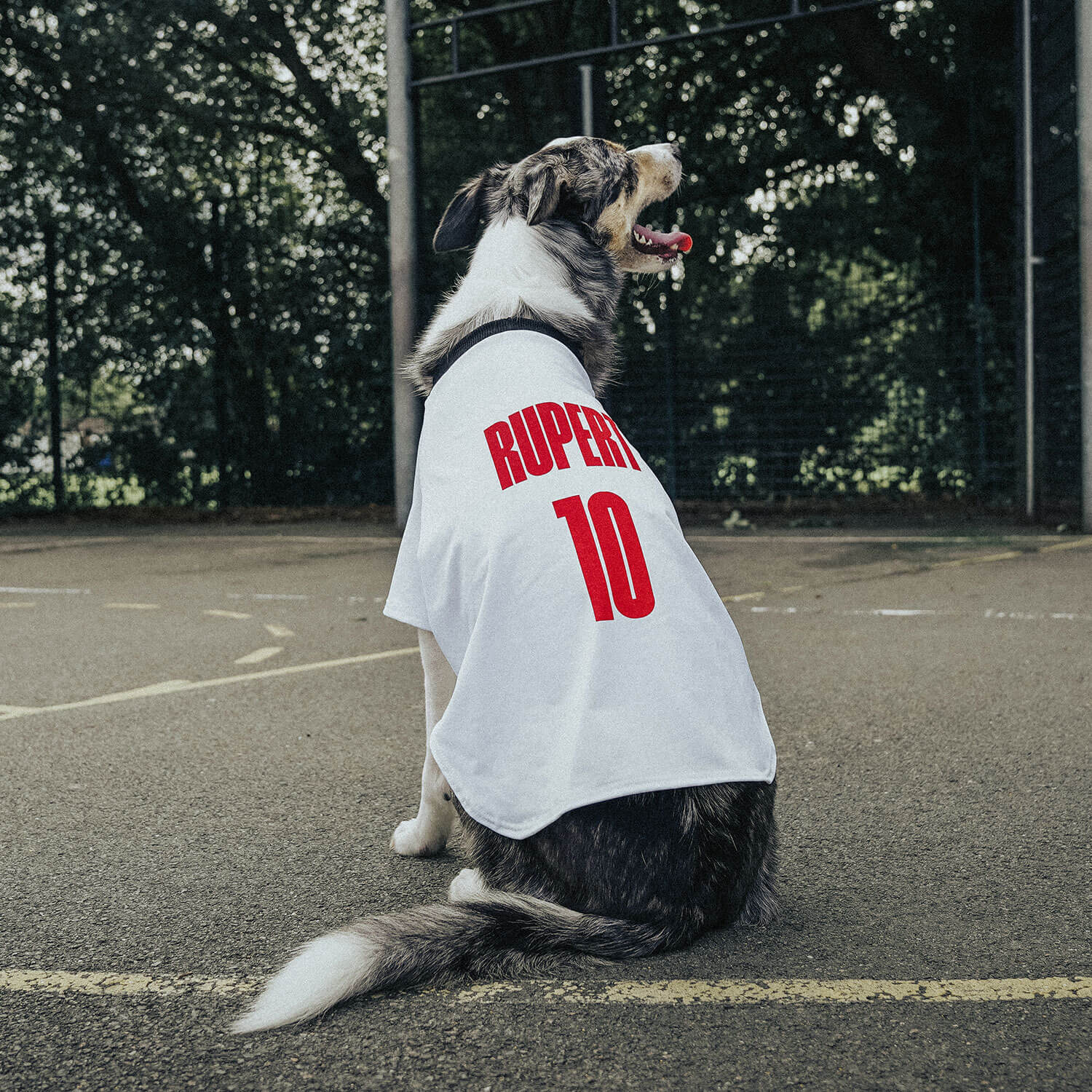 Personalised England Dog Shirt England Football Dog Shirt