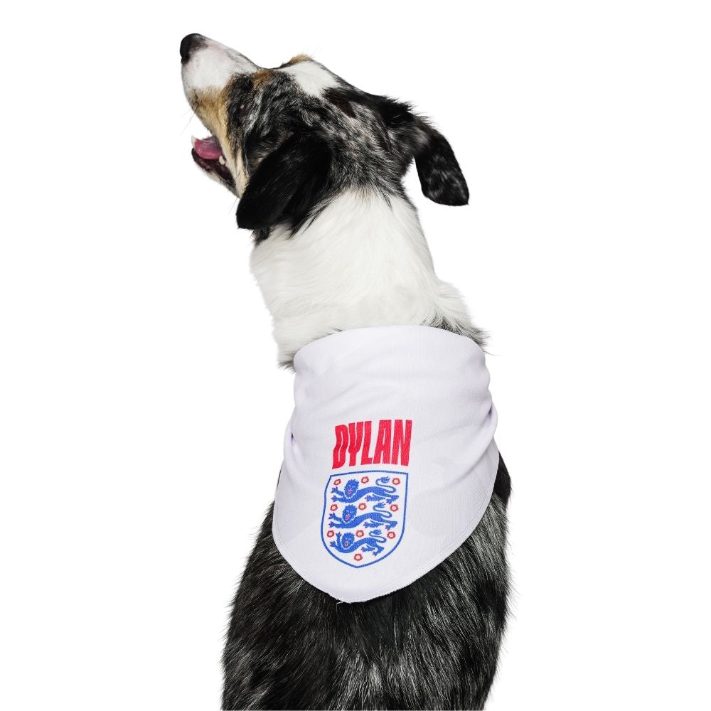 England rugby dog collar best sale