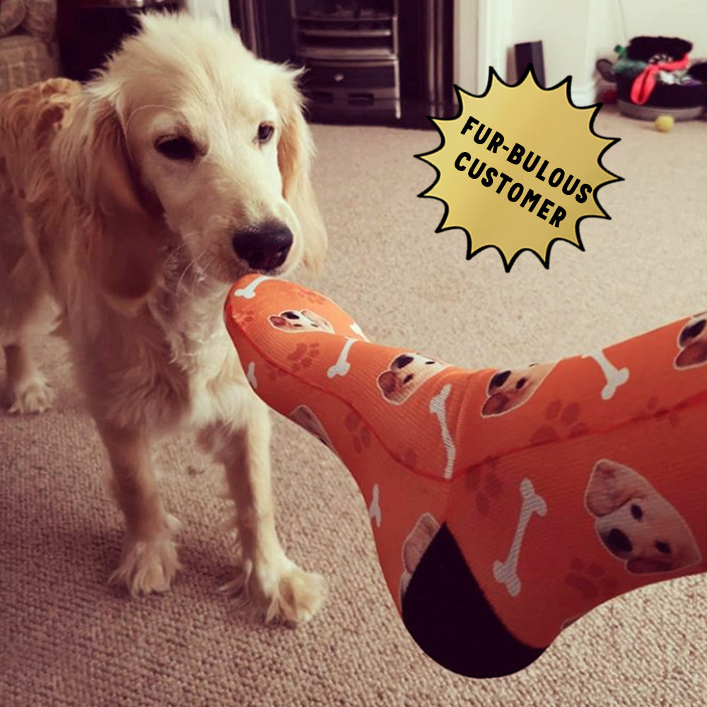 Picture of your shop dog on socks