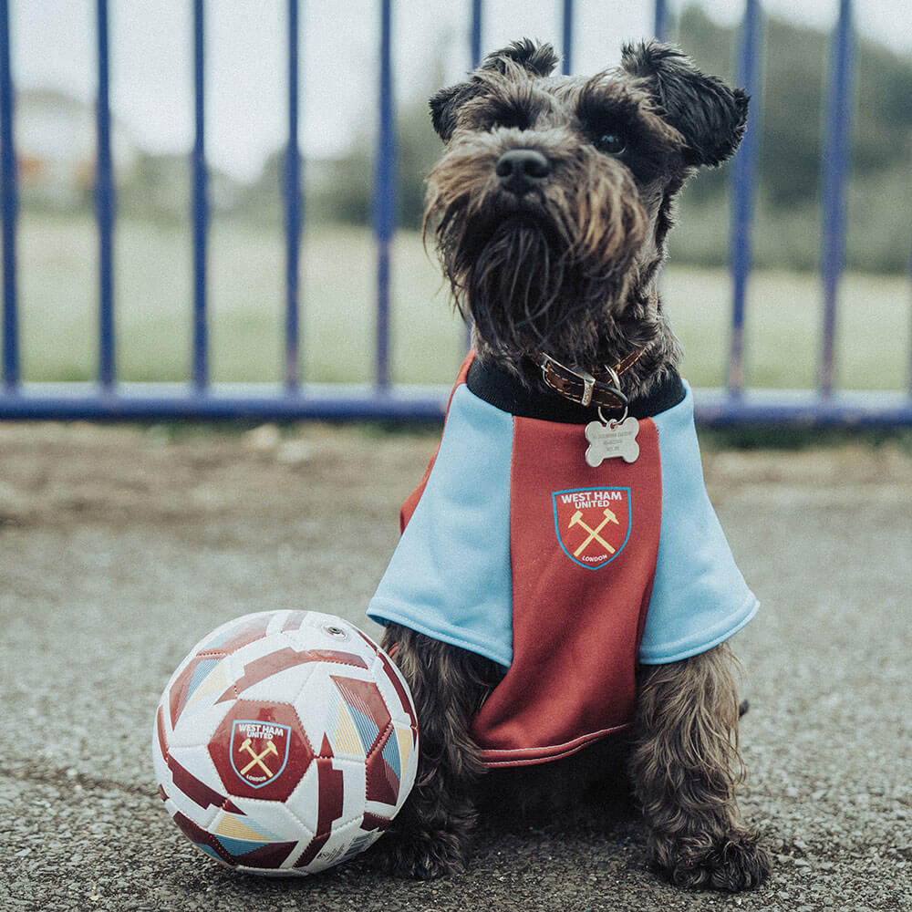 West ham discount fc shop