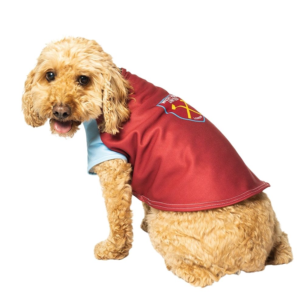 Usc best sale dog jersey