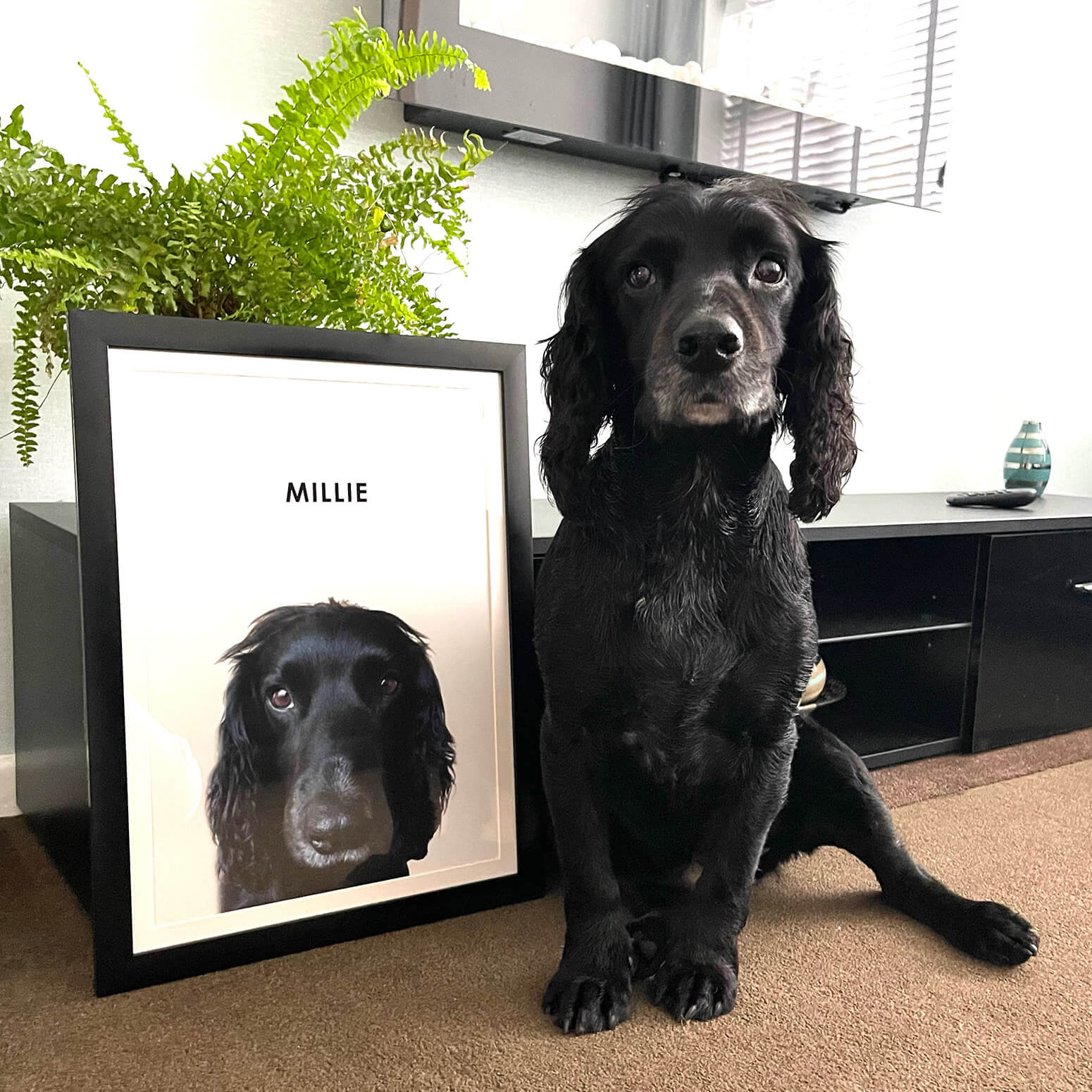 Personalised Dog Prints Framed Dog Prints