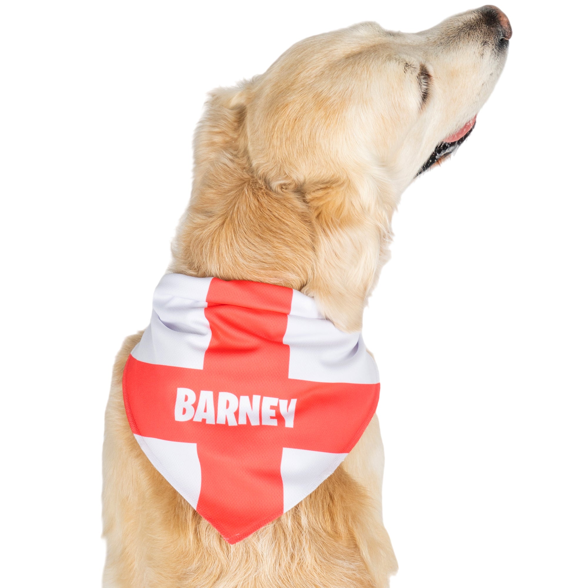 Personalised dog neckerchief shops