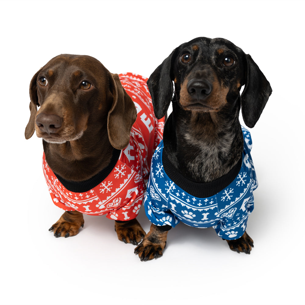 Custom dog jumpers best sale