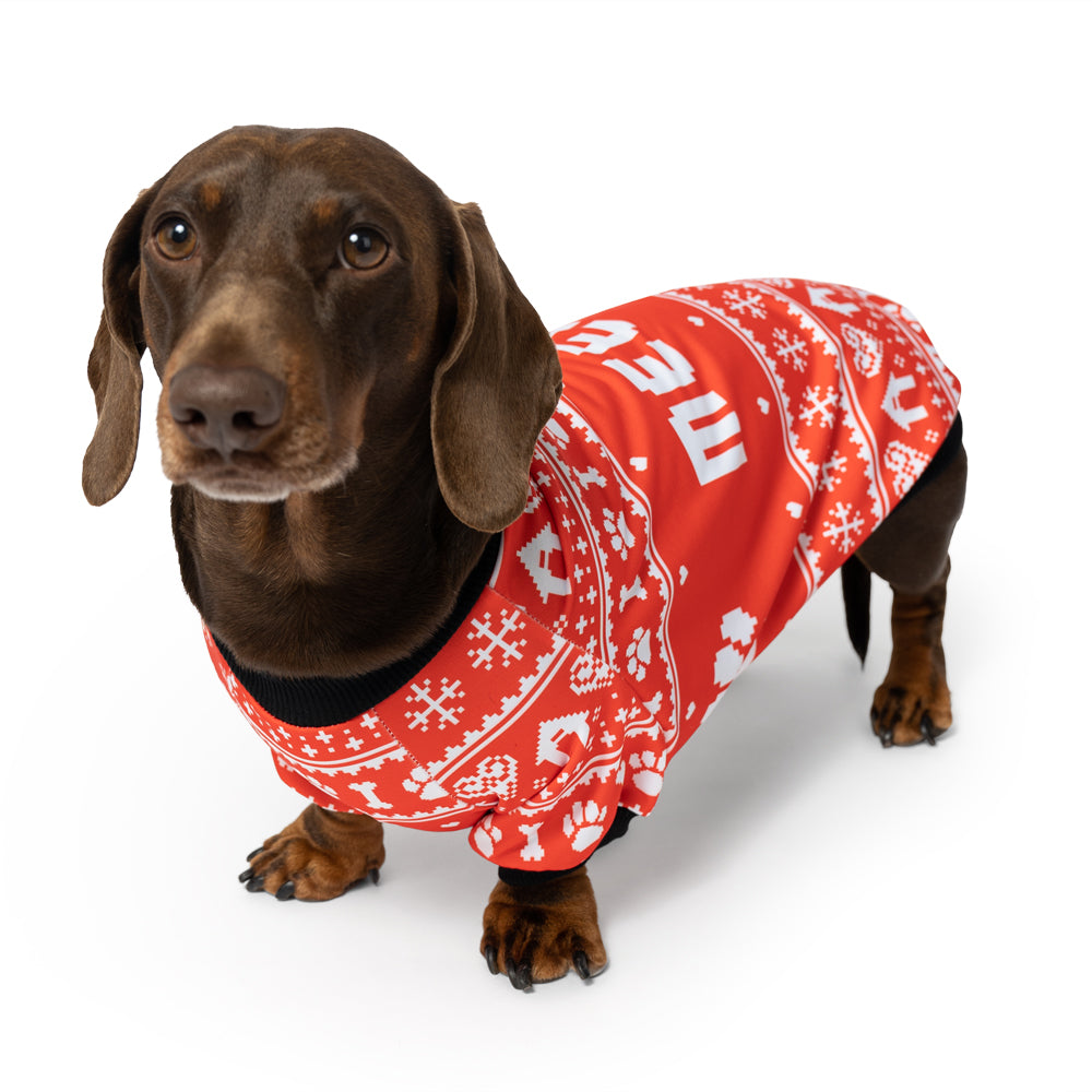 Christmas on sale dachshund jumper