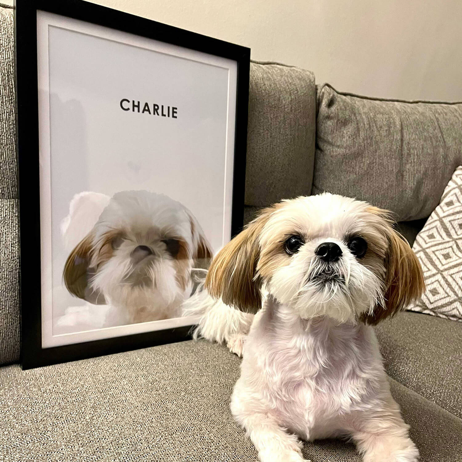 Personalised shop dog portrait