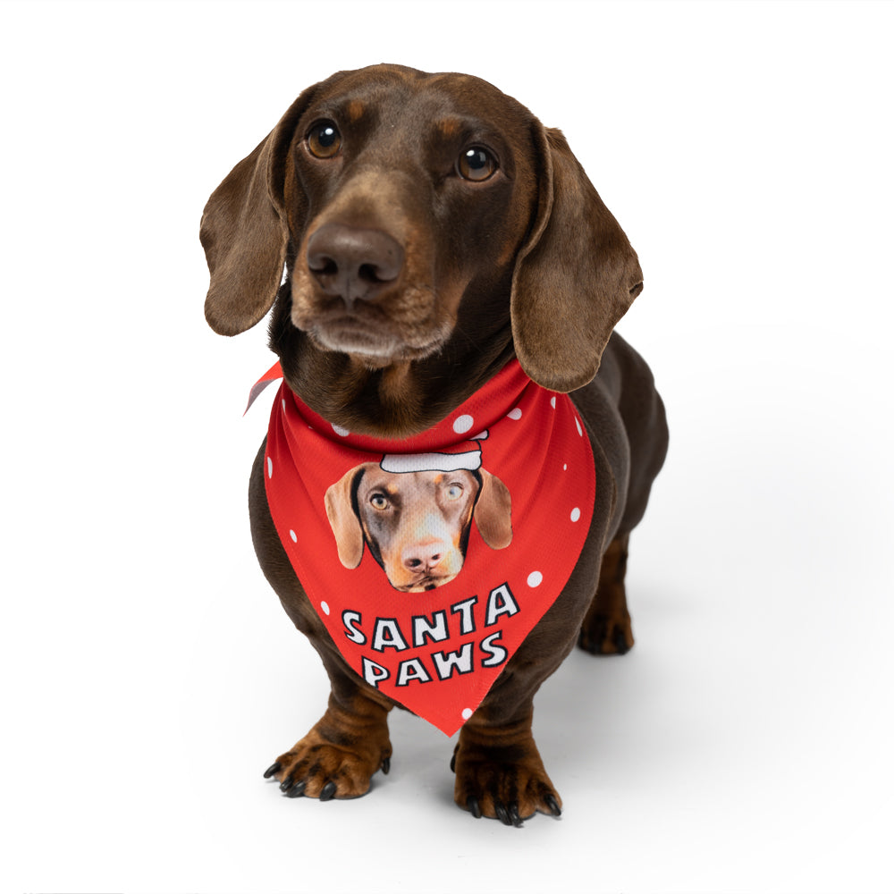 Dog santa online bandana