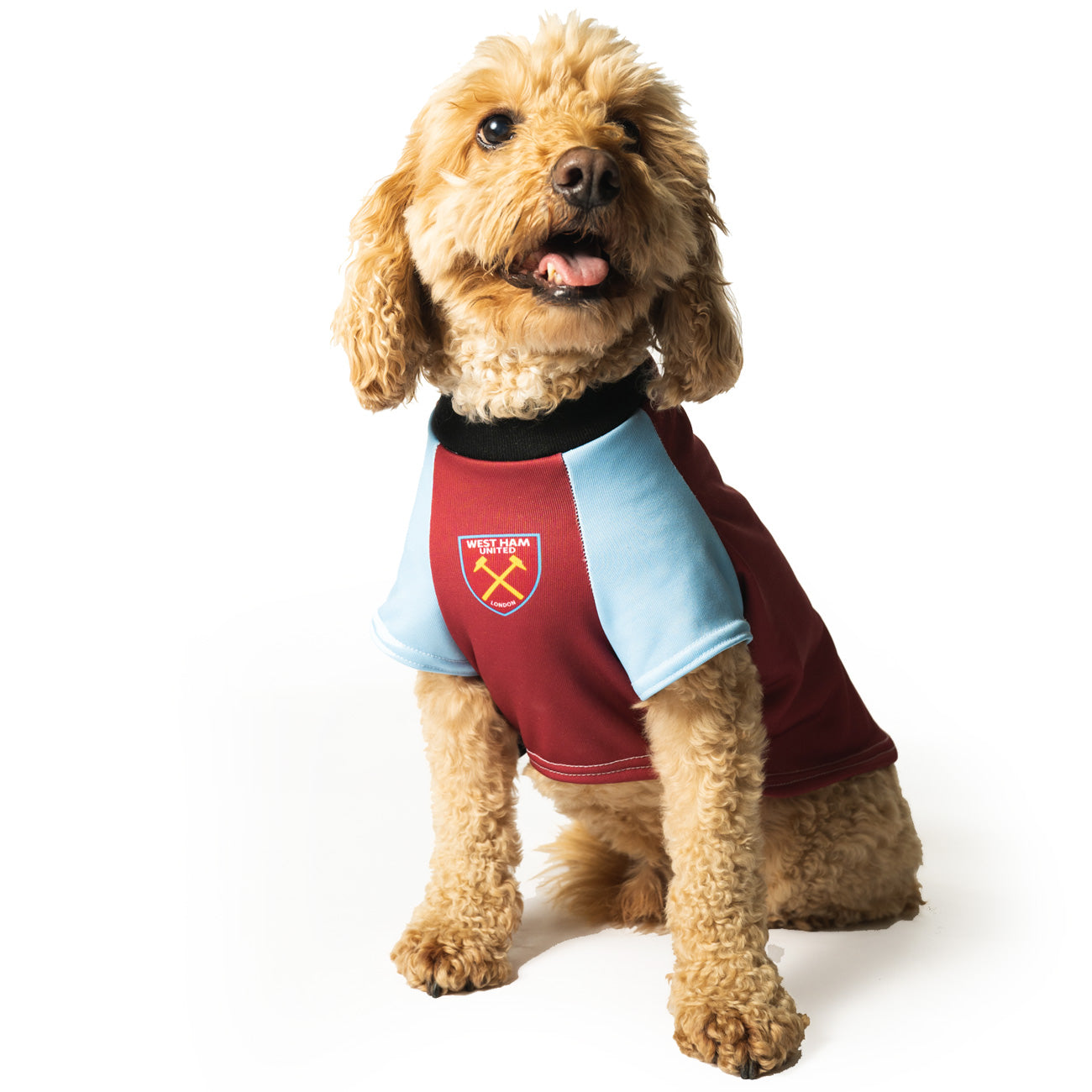 West ham shop dog coat