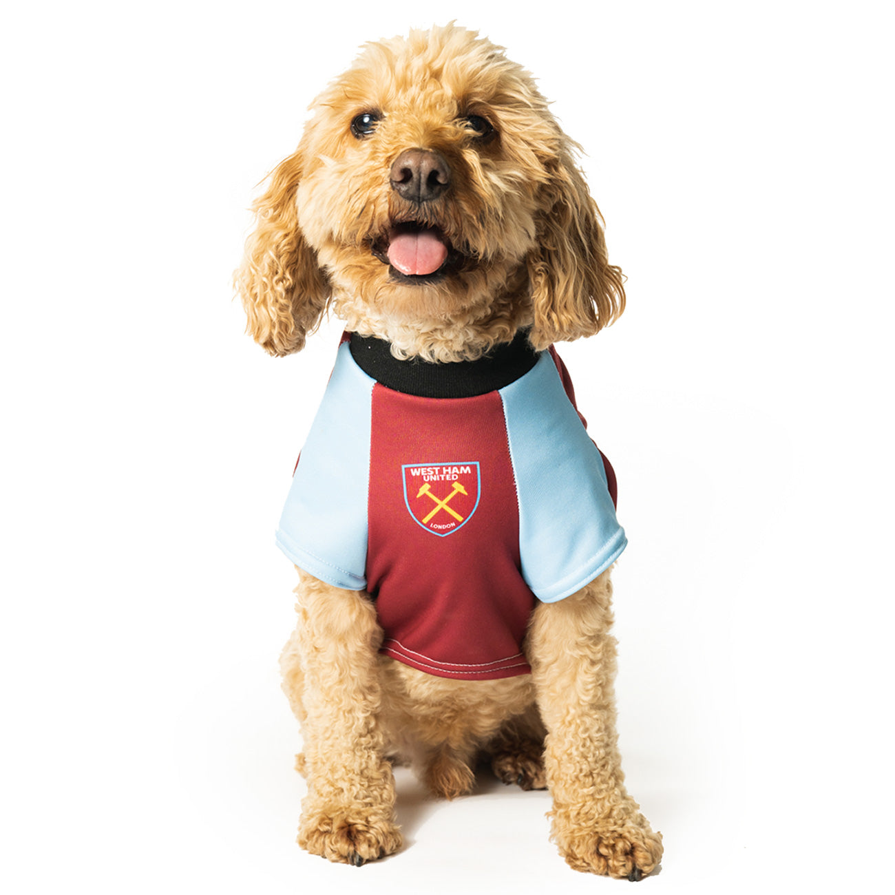 repræsentant silhuet Være Dog Football Shirts - Football Shirts for Dogs